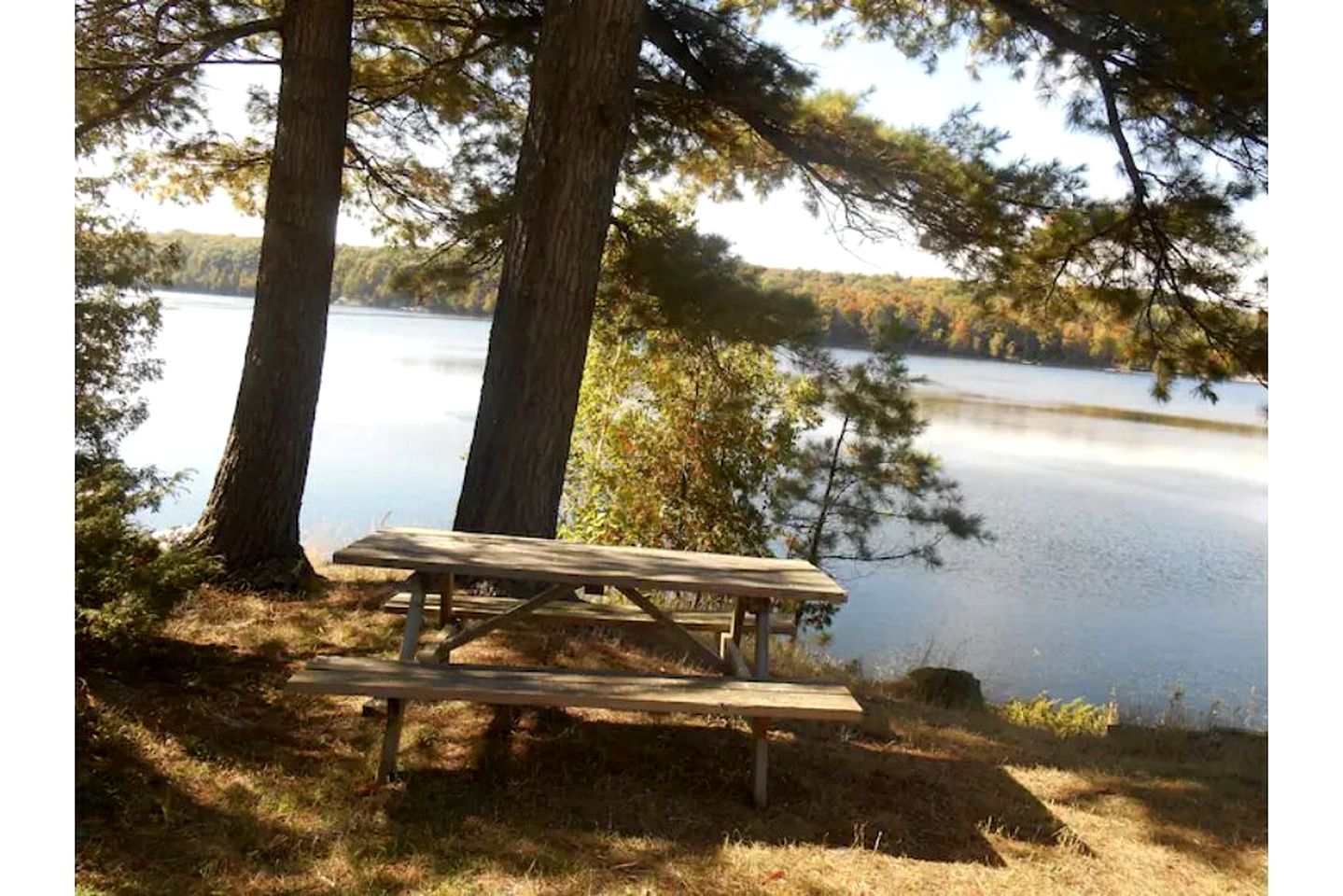 Renovated Waterfront Cabin Perfect for Big Groups in Ontario