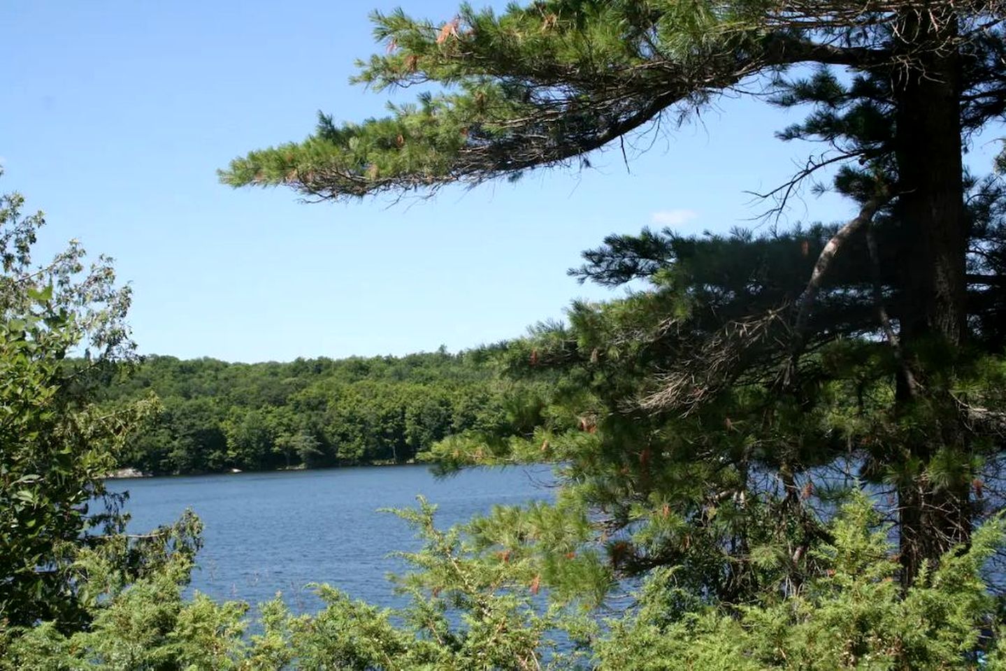 Renovated Waterfront Cabin Perfect for Big Groups in Ontario