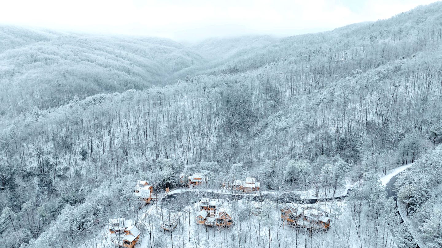 Spectacular Wooden Tree House with Hot-tub in Gatlinburg, Tennessee