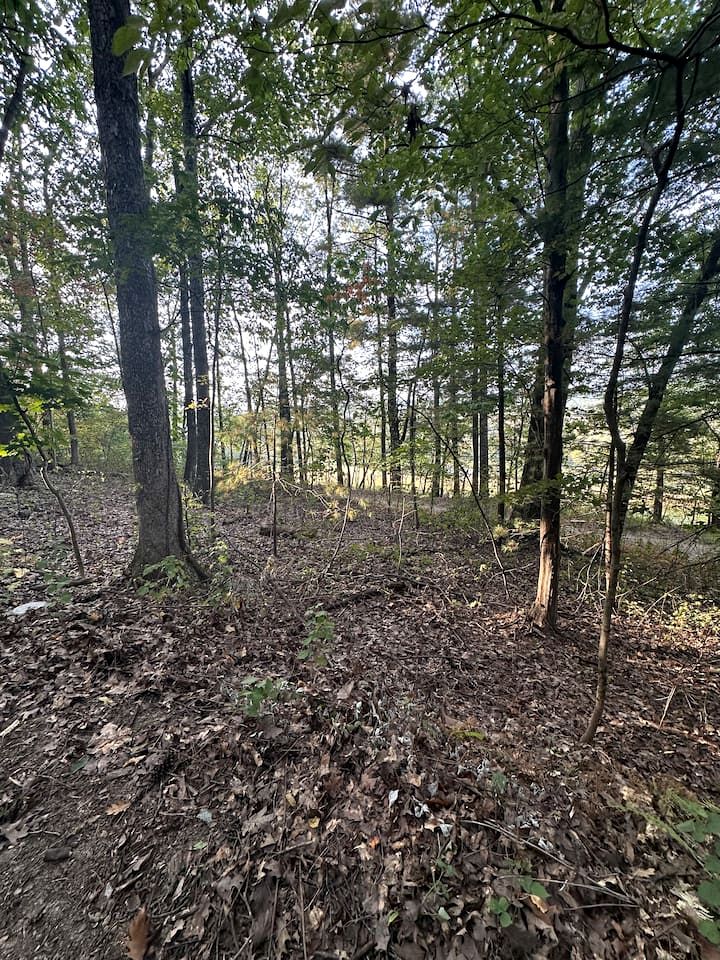 Hidden Countryside Gem with Fire Pit & Tranquil Setting in Aspers, Pennsylvania