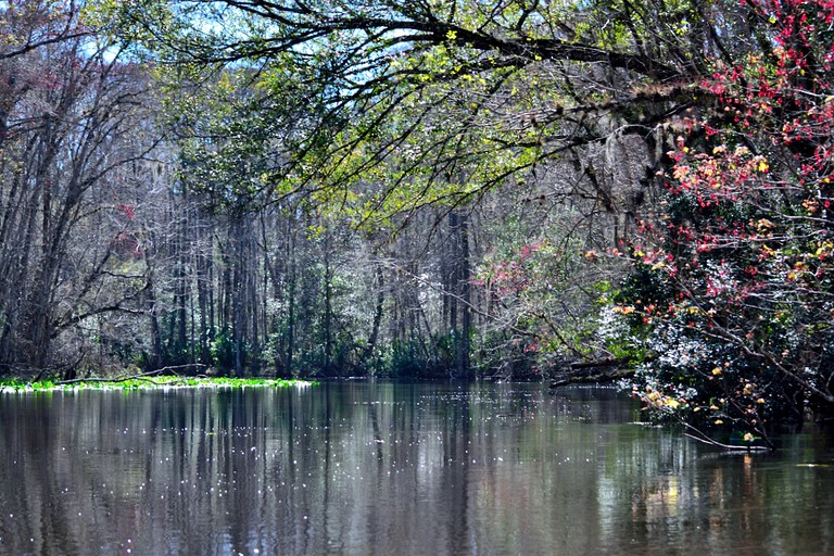 Caravans (Fort McCoy, Florida, United States)