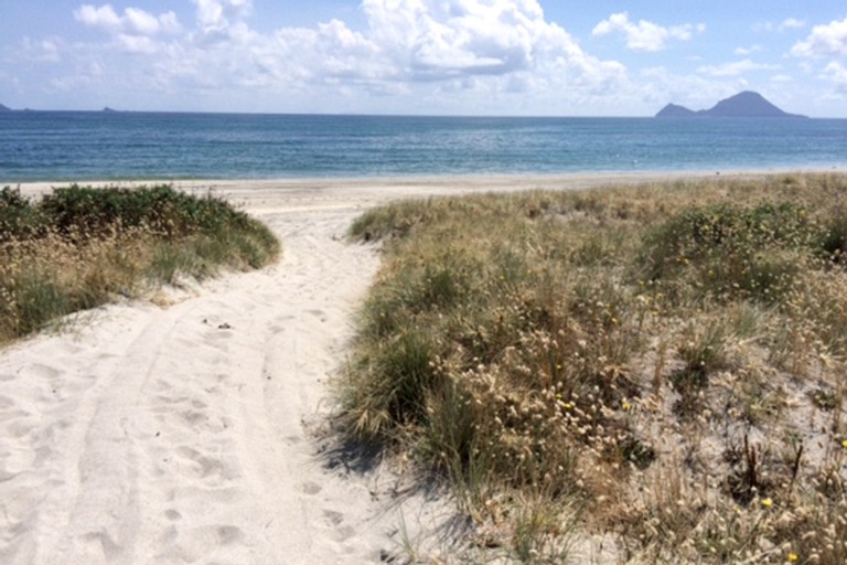 Yurts (Whakatane, North Island, New Zealand)