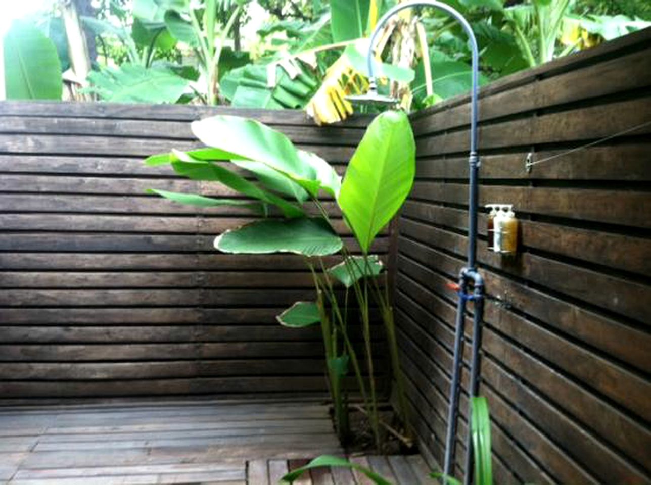 Relaxing Sustainable Suite at Luxury Beachfront Hotel in Nosara, Costa Rica