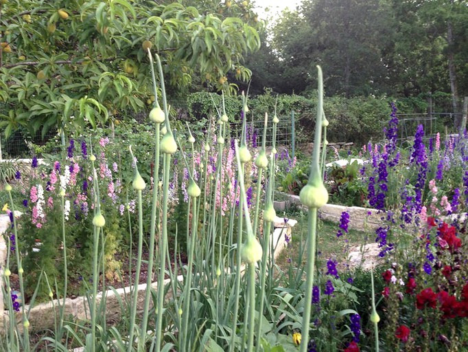 Cottages (Dripping Springs, Texas, United States)