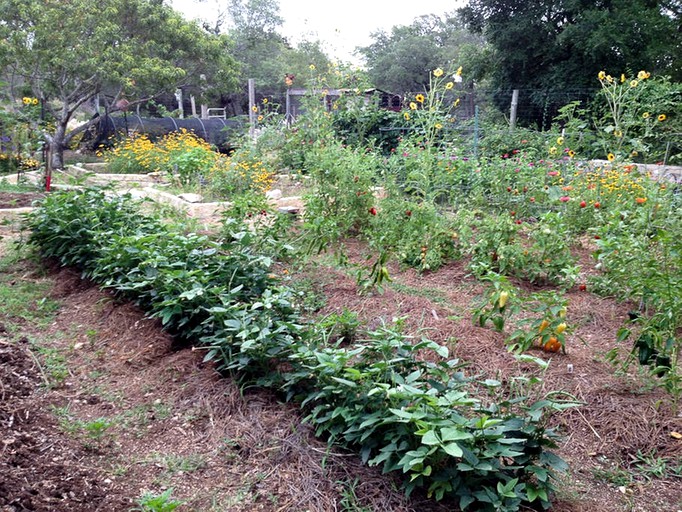 Cottages (Dripping Springs, Texas, United States)