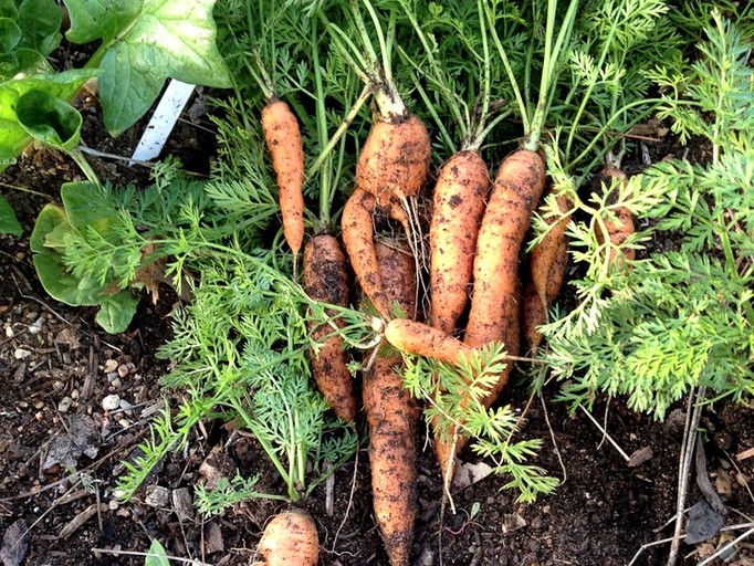 Cottages (Dripping Springs, Texas, United States)