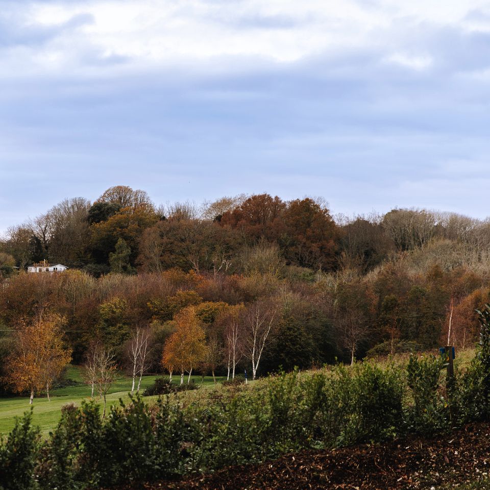 Exclusive Countryside Lodge with Outdoor Cinema, Hot Tub & Sauna, Tranquil Escape Near Binsted, England