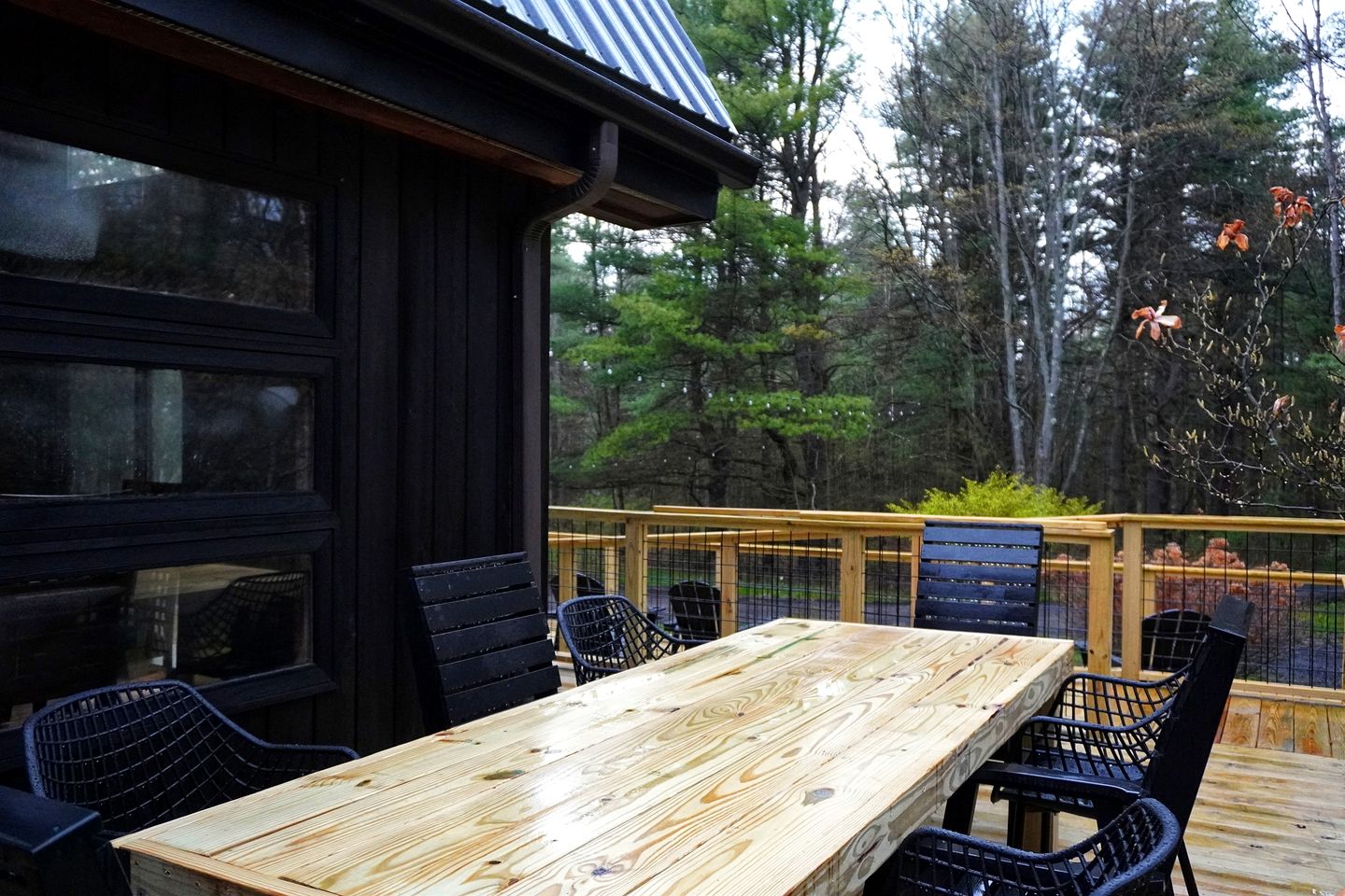 Incredible Secluded Cabin with Barrel Sauna, Fire Pit and Deck for an Unforgettable Getaway in the Finger Lakes in New York