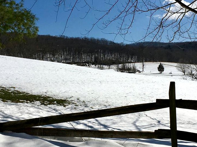 A-Frame Cabins (Wardensville, West Virginia, United States)