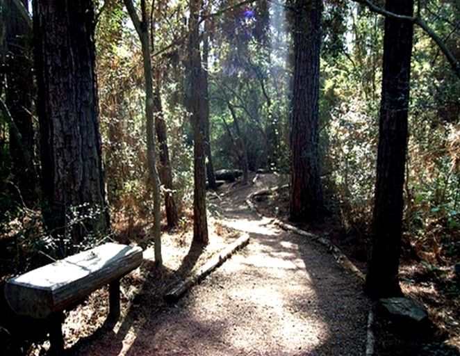 Cabins (United States of America, Bastrop , Texas)