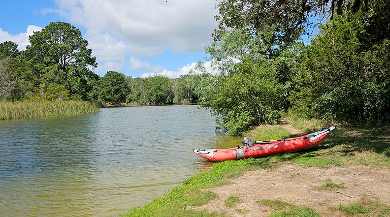 Cabins (United States of America, Bastrop , Texas)