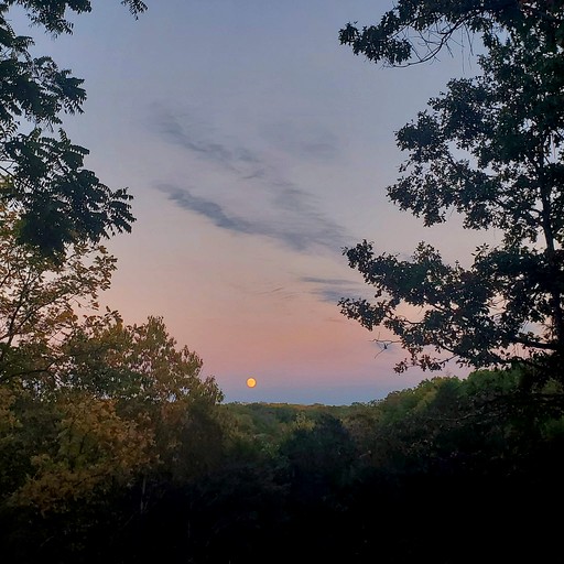 Vacation Rentals (United States of America, Branson, Missouri)