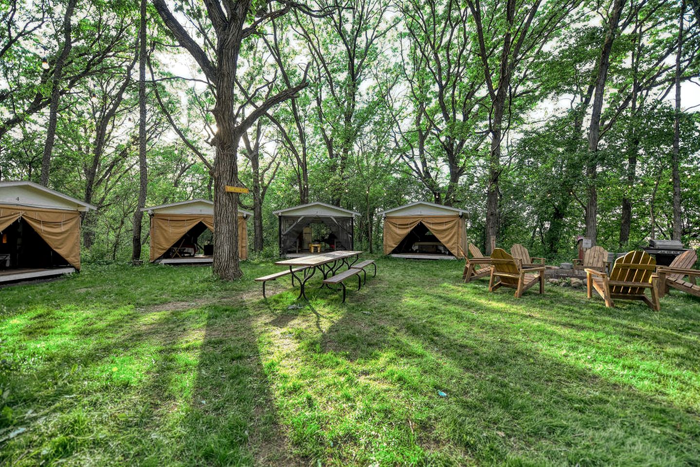 Amazing Group Glamping in Restored Vintage Girl-Scout Tents for a Unique Outdoor Adventure in Troy, Wisconsin