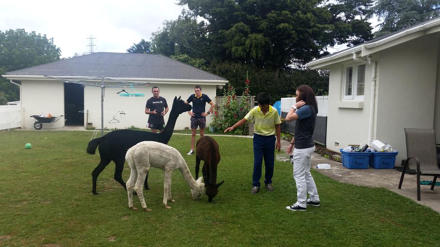 Charming Room for Two for Romantic Getaway near the Waikato River, North Island