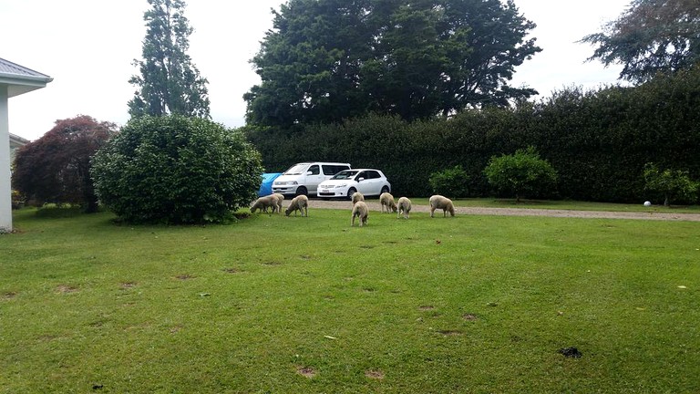 Nature Lodges (Cambridge, North Island, New Zealand)