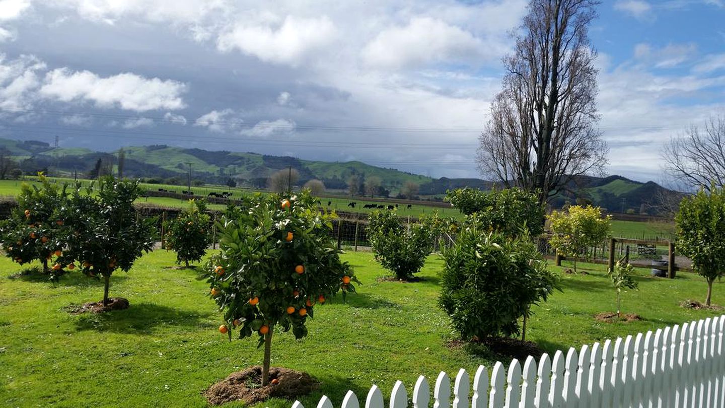 Rustic Getaway on a Farm with Breakfast Included in Cambridge, North Island