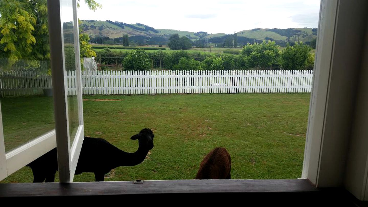 Rustic Getaway on a Farm with Breakfast Included in Cambridge, North Island