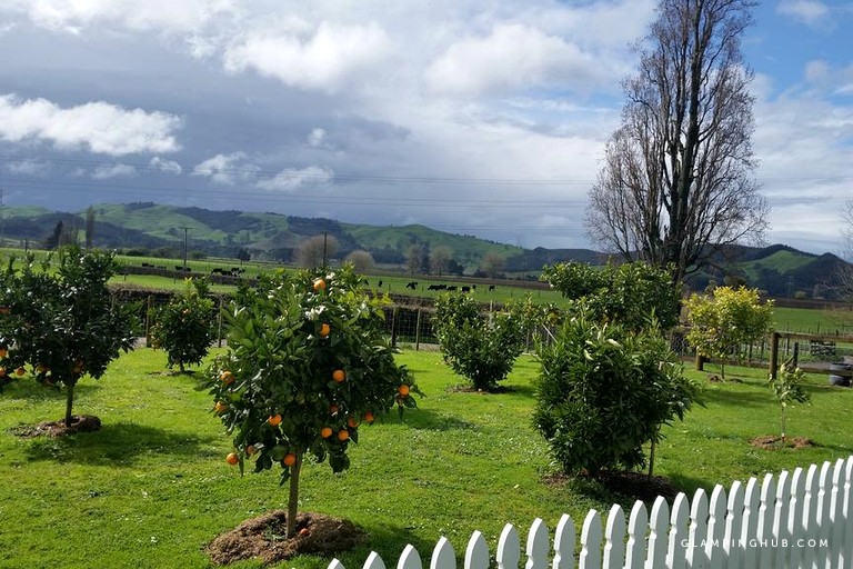 Nature Lodges (Cambridge, North Island, New Zealand)