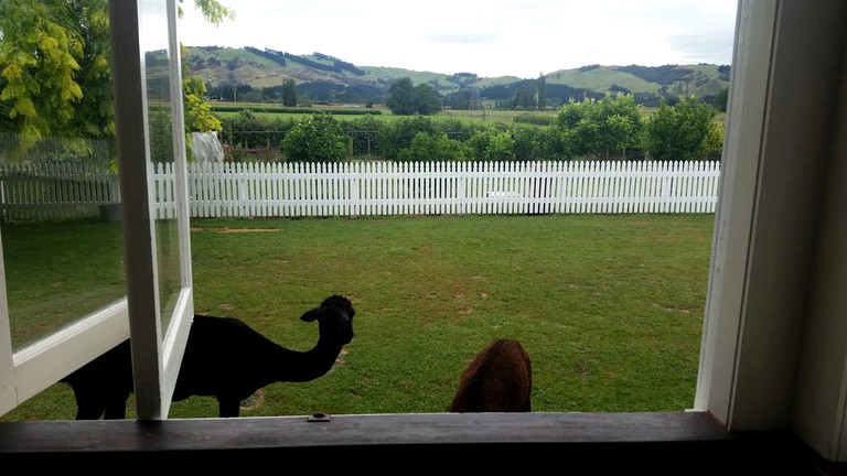 Nature Lodges (Cambridge, North Island, New Zealand)