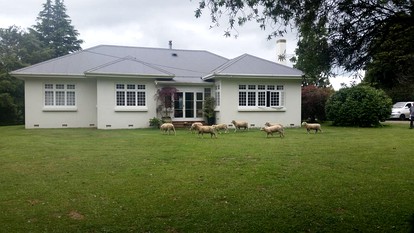 Rustic Farm Accommodation Surrounded by Gorgeous Countryside Views near Lake Karapiro, North Island - Photo 3