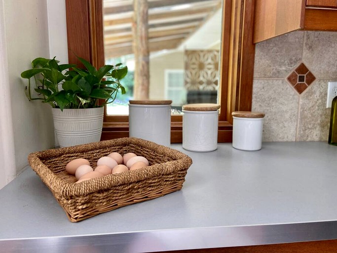 Vacation Rentals (United States of America, --, --)