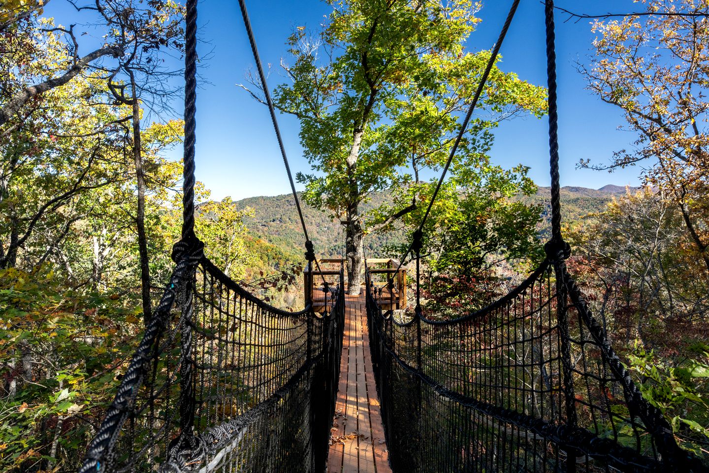 Secluded Adventure Treehouse with Net Loft & Swaying Bridge Near Highlands, NC