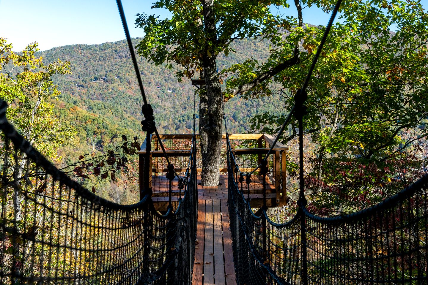 Secluded Adventure Treehouse with Net Loft & Swaying Bridge Near Highlands, NC