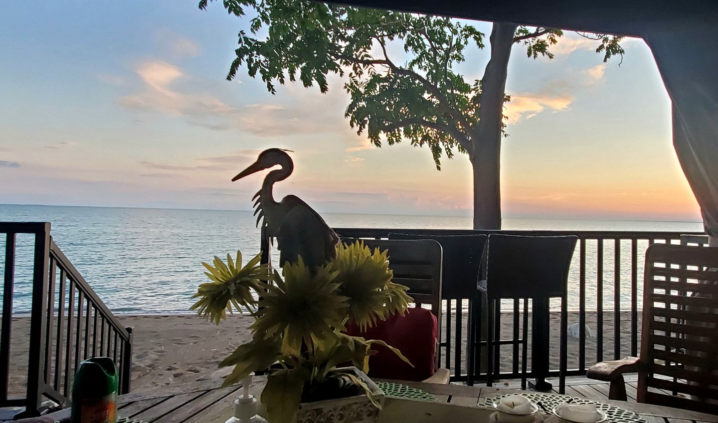 Breathtaking Beachfront Cottage with Nice Sights in Leamington, Ontario