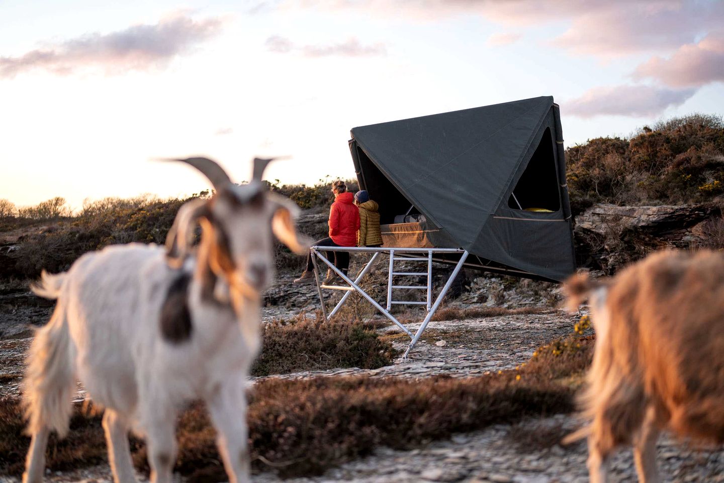Ethereal Tipi Sanctuary near Cornwall Coast in United Kingdom