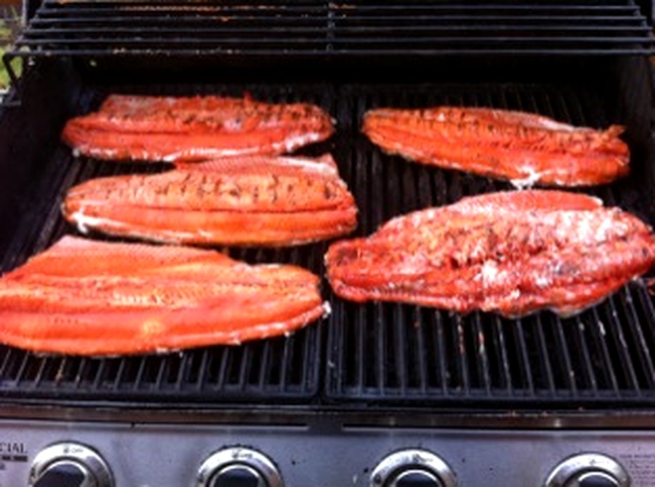 Fishing Cabin Rental on the Waterfront of Kenai River in Sterling, Alaska