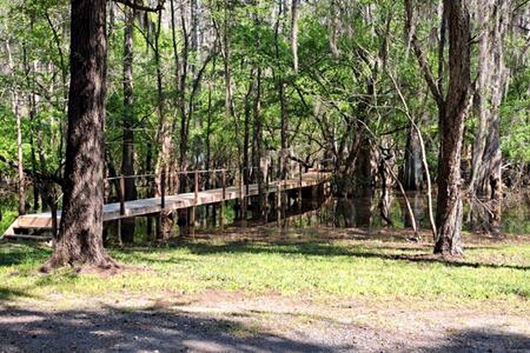 Vacation Rentals (United States of America, Karnack, Texas)