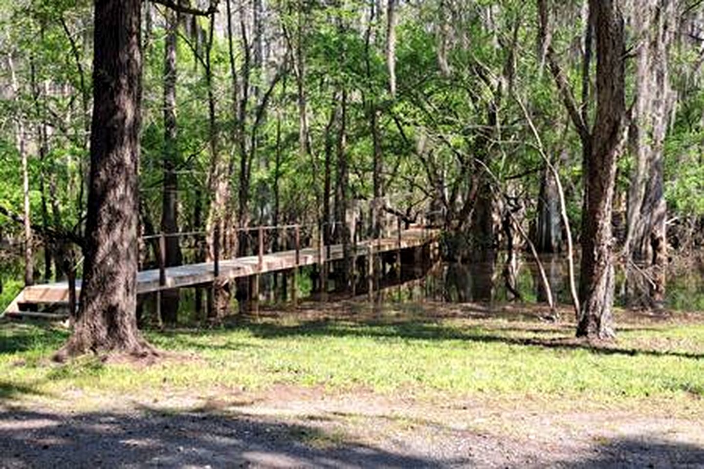 Lakefront Family Cabin with Jacuzzi, Fire Pit and Yard in Texas