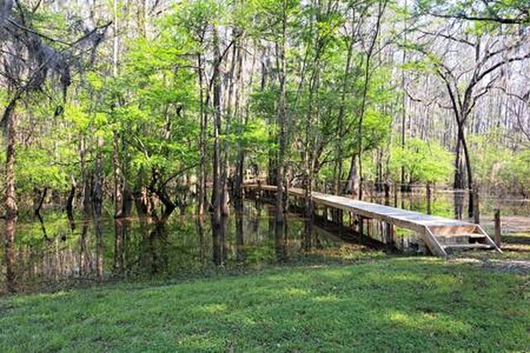 Vacation Rentals (United States of America, Karnack, Texas)