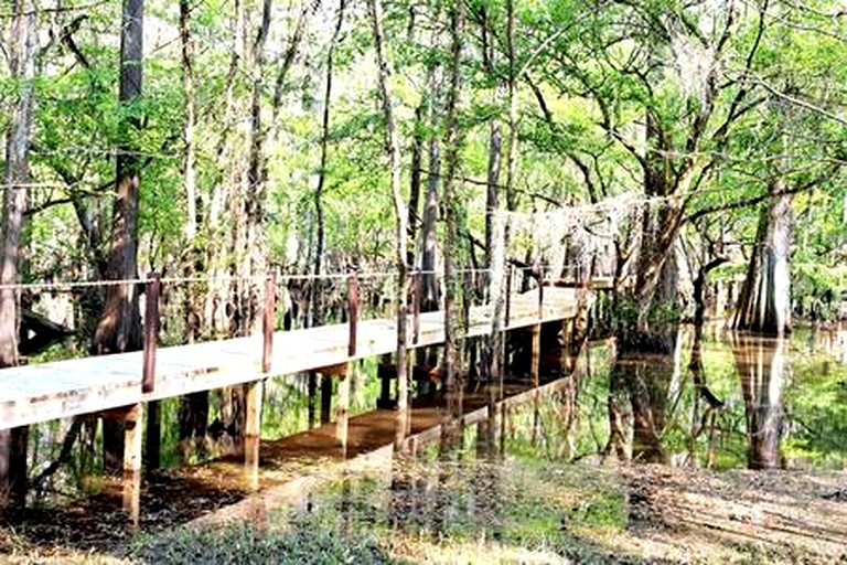 Vacation Rentals (United States of America, Karnack, Texas)