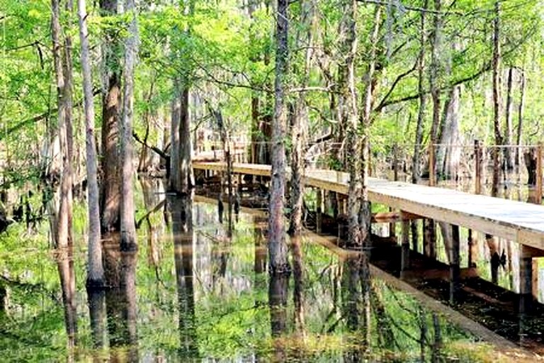 Vacation Rentals (United States of America, Karnack, Texas)