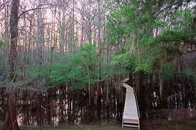 Vacation Rentals (United States of America, Karnack, Texas)