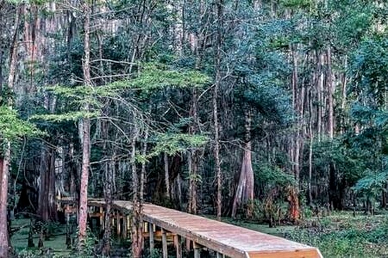 Vacation Rentals (United States of America, Karnack, Texas)