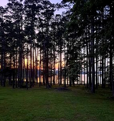 Vacation Rentals (United States of America, --, --)