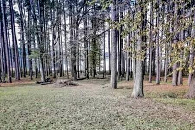 Vacation Rentals (United States of America, --, --)