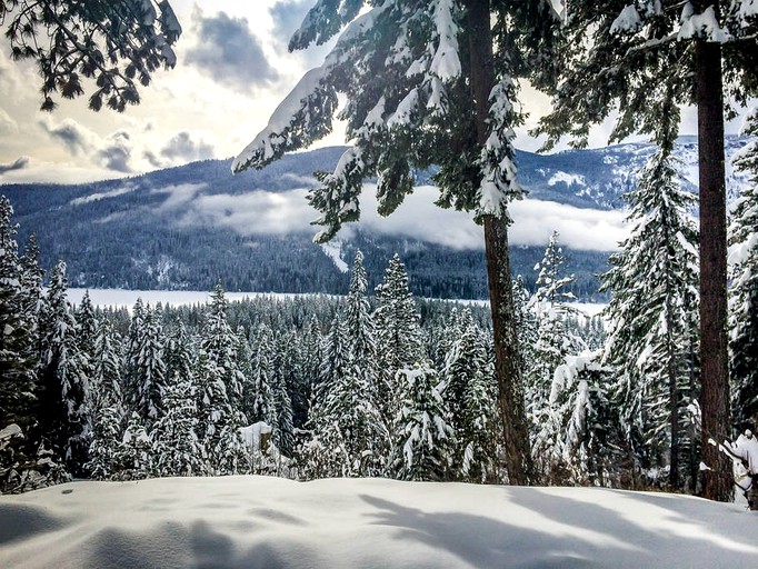 Cabins (Leavenworth, Washington, United States)