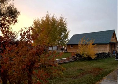 undefined photo 2