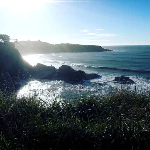 Cottages (Westport, South Island, New Zealand)