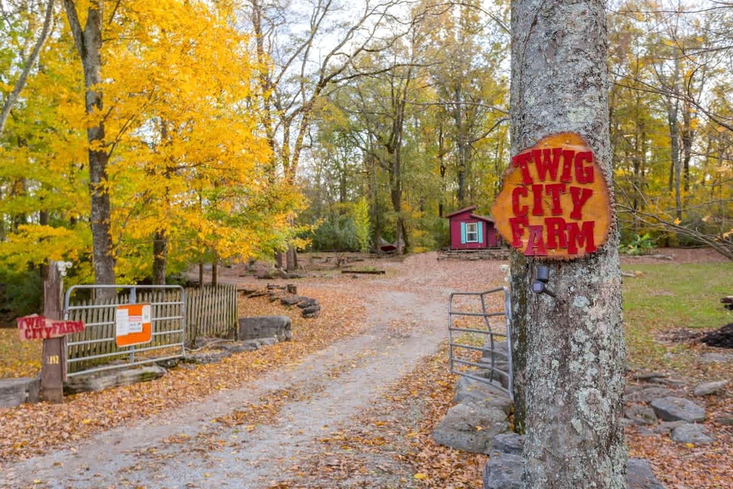 Hillbilly Chic Tiny House Near Nashville with WiFi, Kitchenette, Fire Pit & Trails