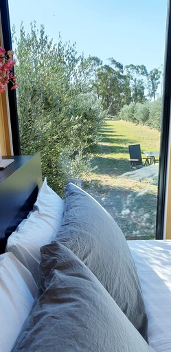 Tiny Houses (Australia, West Wyalong, New South Wales)