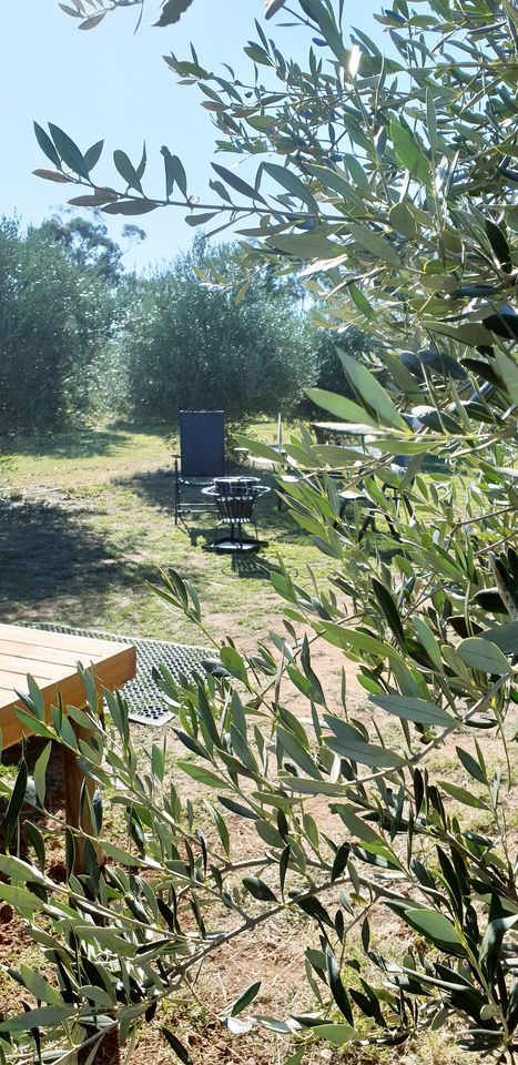 Serene Tiny House with Amazing Countryside Landscapes in New South Wales