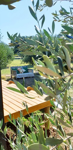 Tiny Houses (Australia, West Wyalong, New South Wales)