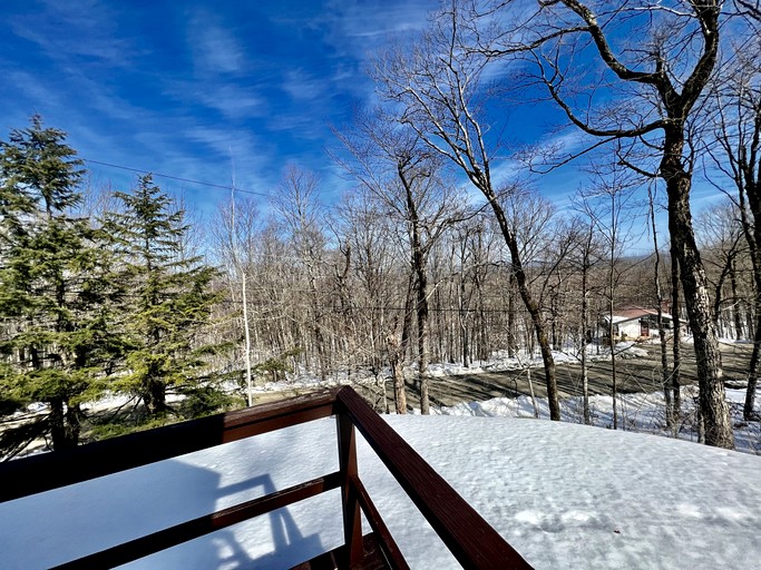 Cabins (United States of America, Winhall, Vermont)