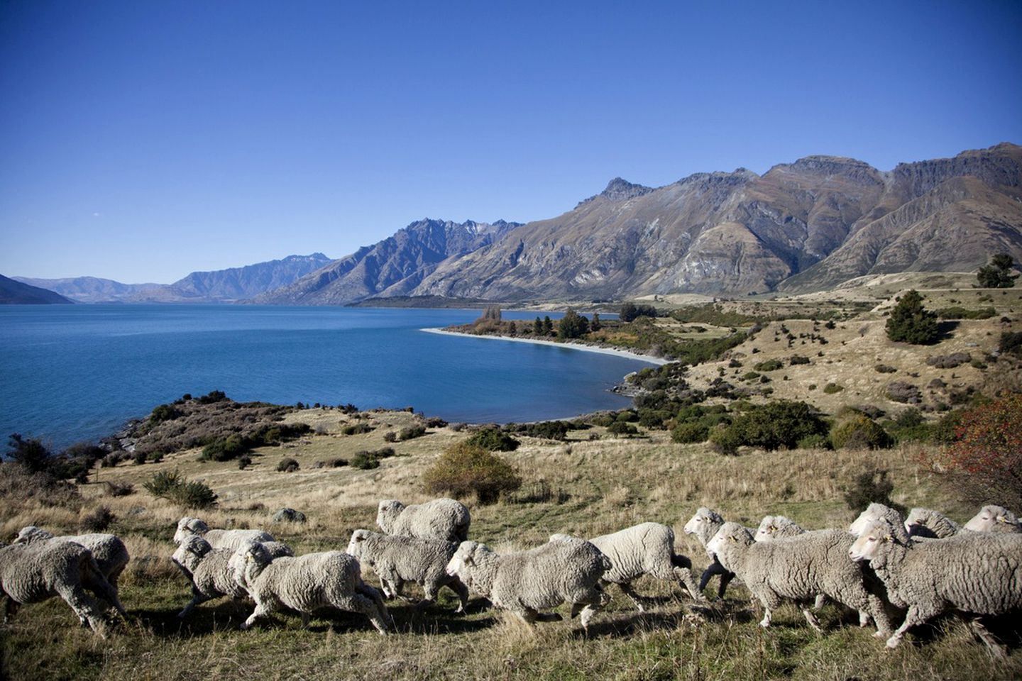 High Mountain Lodge Rental for 10 Guests near Queenstown, New Zealand