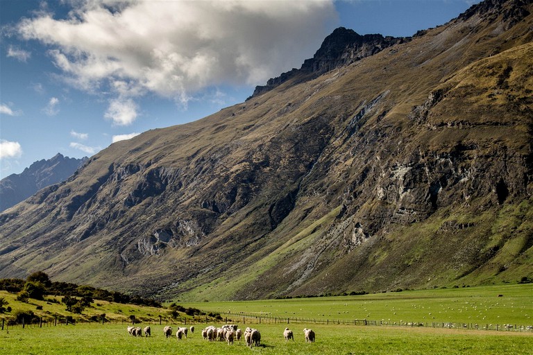 Cabins (Queenstown, South Island, New Zealand)