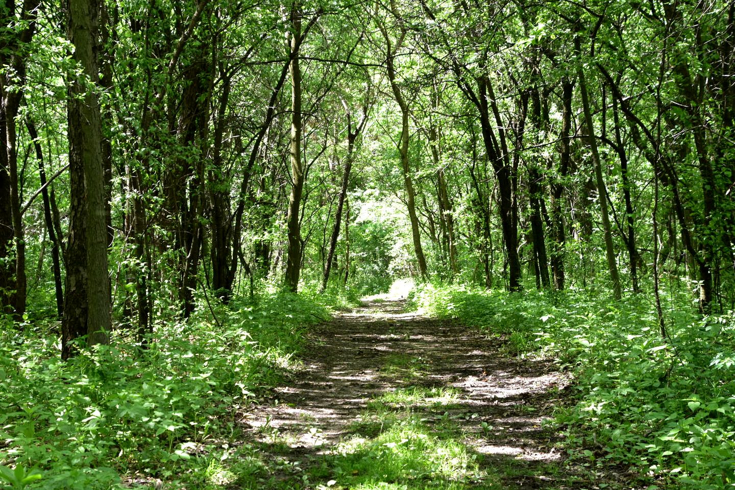 Spacious Restored Girl Scout Lodge with Modern Interior, the Perfect Base for a Family Adventure in Troy, Wisconsin